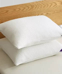 Dream On 2-pack Soft Knit Duck Nano Pillow