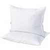 Dream On 2-pack Triple Chamber White Goose Down & Feather Pillow