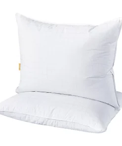 Dream On 2-pack Triple Chamber White Goose Down & Feather Pillow