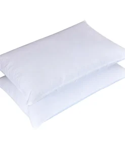 Dream On 2-pack Feather Pillow