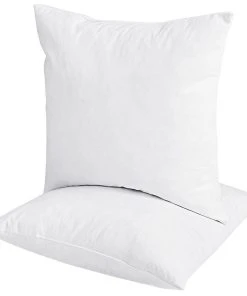 Dream On Euro Feather Pillow Insert