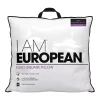 I Am Euro Square Pillow