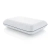 Linenspa Signature AlwaysCool Gel Memory Foam Pillow