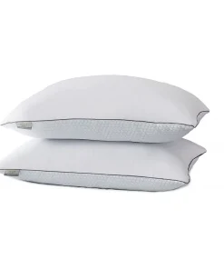 Kathy Ireland 2-pack White Goose Feather Pillows