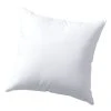 Lands' End Euro Pillow Insert