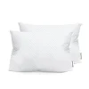 Beautyrest Quilted Comfort Antimicrobial Protection Memory Foam Cluster Pillow