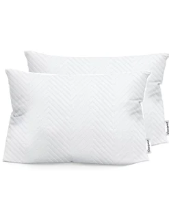 Beautyrest Quilted Comfort Antimicrobial Protection Memory Foam Cluster Pillow