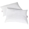 Nüe By Novaform 2-pack Microcushion Pillow