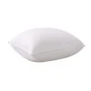 Weatherproof Feather And Down Cotton Bed Pillow
