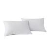 Kathy Ireland 2-pack Tencel Pillows
