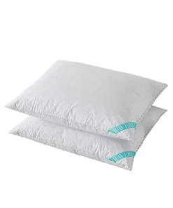 Waverly Feather 2-pack Pillow Set