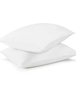 Healthy Home Proguard ®Antimicrobial Zippered Pillow Protector