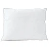 Lands' End Stomach Sleeper Pillow