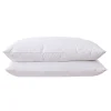 Firefly Goose Down & Feather Blend 2-Piece Pillow Set