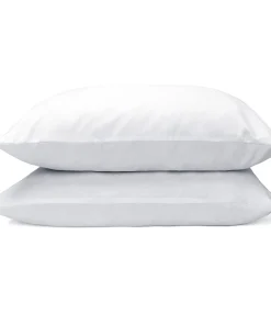 Molecule 2-pack Gel Memory Foam Pillow Set