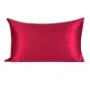 PiccoCasa 19 Momme Mulberry Silk Pillowcase For Hair And Skin Queen(20"x30")