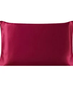 PiccoCasa 100% Pure Silk 19 Momme Pillow Cover Queen(20"x30")