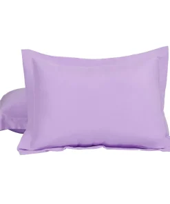 PiccoCasa 2Pcs Microfiber Pair No Zipper Pillowcases Queen 20"x30"
