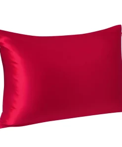 PiccoCasa 1 Piece 22 Momme Mulberry Silk Pillowcase Zippered Bed Pillow Cover King 20" X 36"